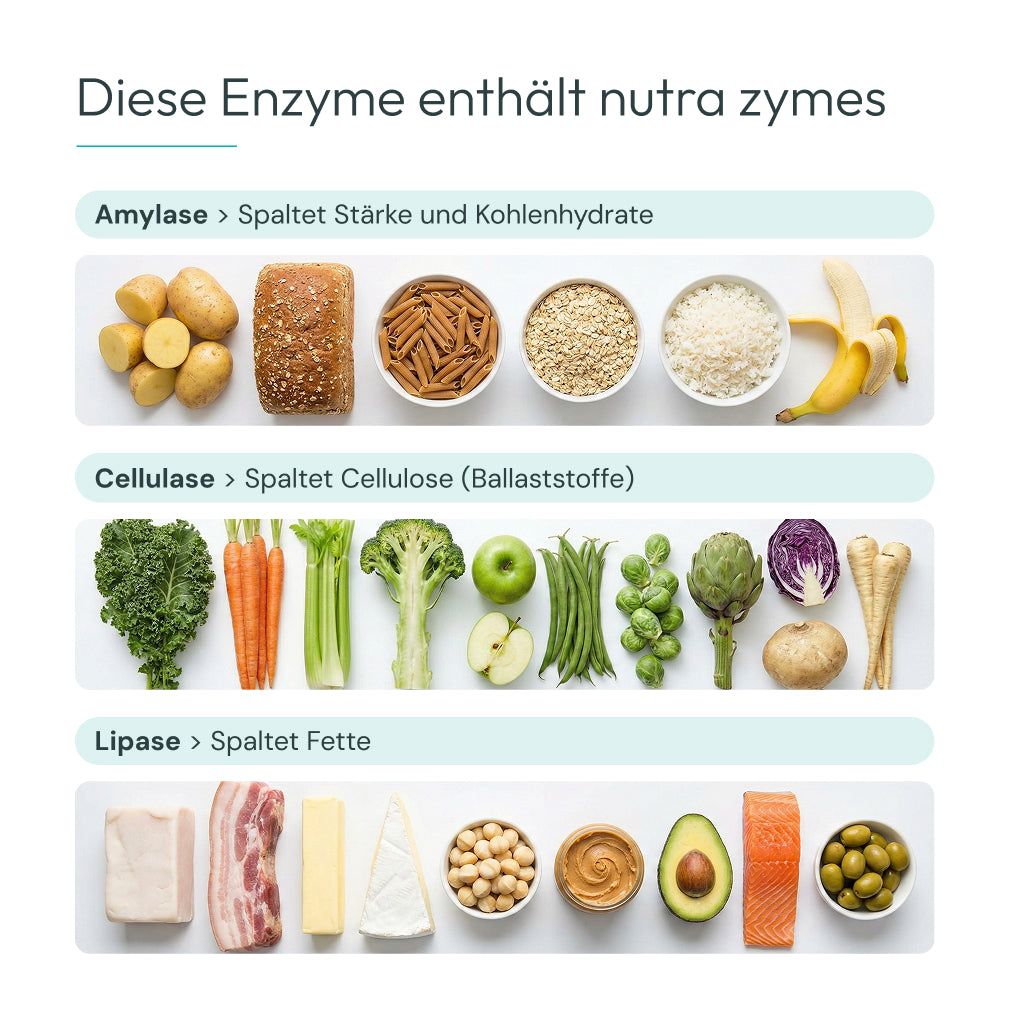 nutra zymes Enzympulver